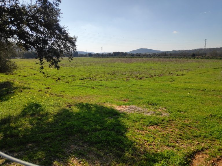 Terreno com ruína em Paderne, Albufeira - foto 2