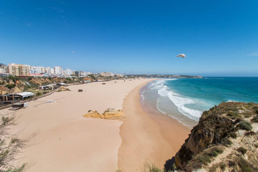Praia da Rocha vista das falésias, com o areal e o mar